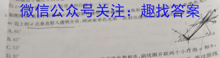 炎德英才 名校联考联合体2025届新高三第一次联考(暨入学检测)物理试卷答案