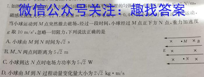 2023-2024学年河北省高一年级下学期3月联考(24-335A)物理试卷答案