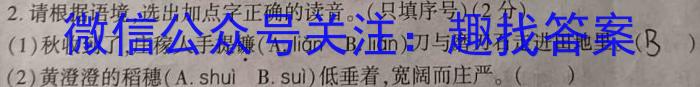 2023-2024学年河南省中招备考试卷（二）语文