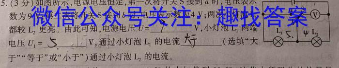 2024年长沙市初中学业水平考试模拟试卷(四)物理`