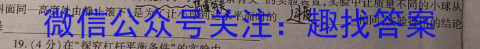 皖智教育 安徽第一卷·2024年中考安徽名校大联考试卷(一)1物理试卷答案