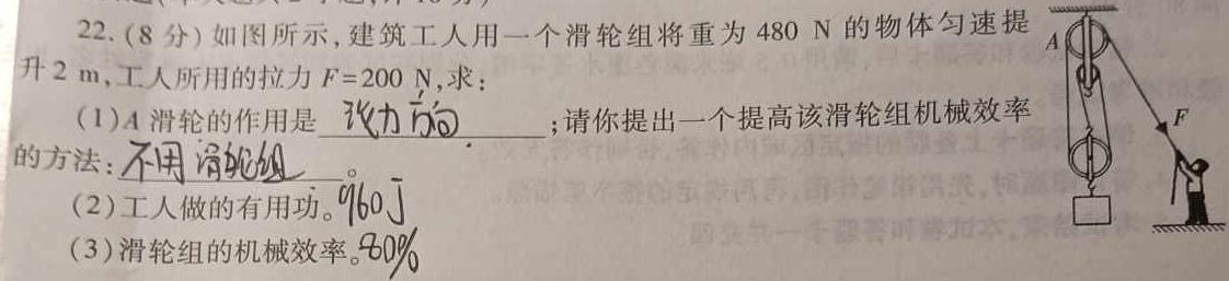 山东省2024届衡水金卷高三2月联考SD试卷物理试题.