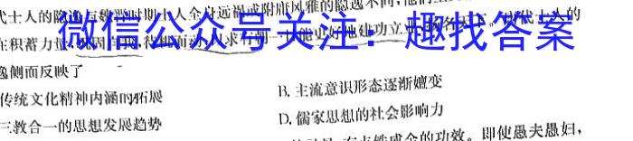 安徽省2024年中考总复习专题训练 R-AH(十二)12历史试卷答案