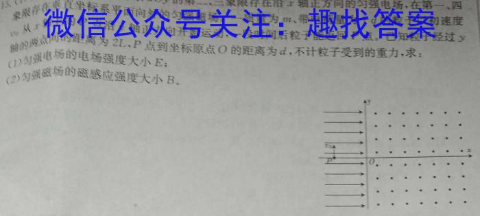 安徽省凤台片区2023-2024学年度第一学期九年级期末教学质量检测(试题卷)f物理