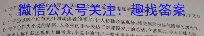 江西省鹰潭余江2024届九年级期末考试/语文