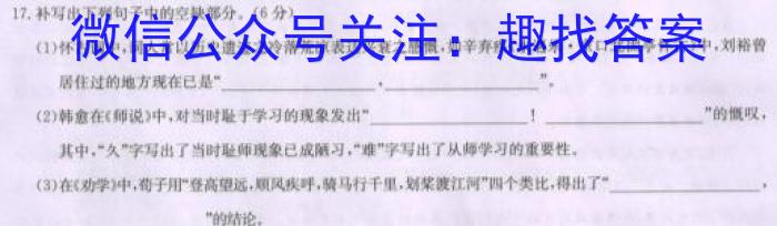 文博志鸿 2024年河南省普通高中招生考试模拟试卷(解密二)/语文