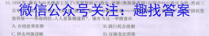 河南省汝阳县2024年中考第一次模拟考试历史试卷答案