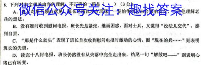 安徽省无为三中2023-2024学年度第二学期九年级学情调研/语文