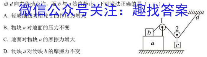 广西省2024年高考联合模拟考试物理`