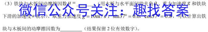 安徽省太和县2024年初中学业水平考试模拟测试卷（一）物理