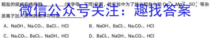 2024年广东省高三年级元月统一调研测试数学