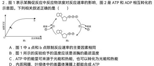 佩佩教育2024年普通高校招生统一考试金榜题名卷生物