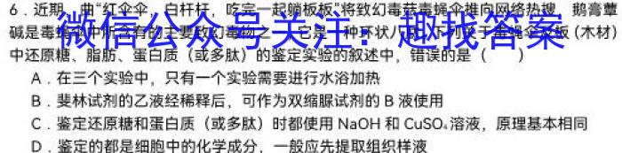 河南省南阳市2024年春期六校高二年级第一次联考数学