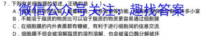 ［广东大联考］百分智·广东省2024届高三年级4月联考（424）数学