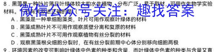 安徽金榜教育 2023-2024学年高一1月期末联考数学