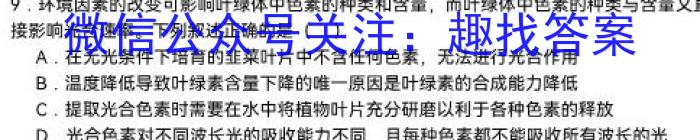 河南省2023-2024学年高一年级下学期5月质量检测(24645A)数学