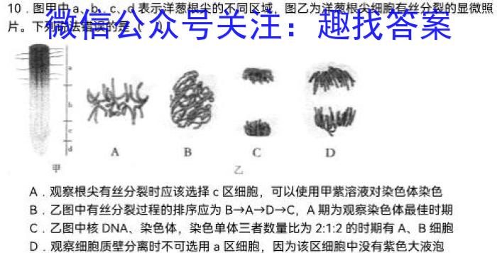 [山西二模]思而行 2024年高三第二次模拟考试(4月)生物学试题答案