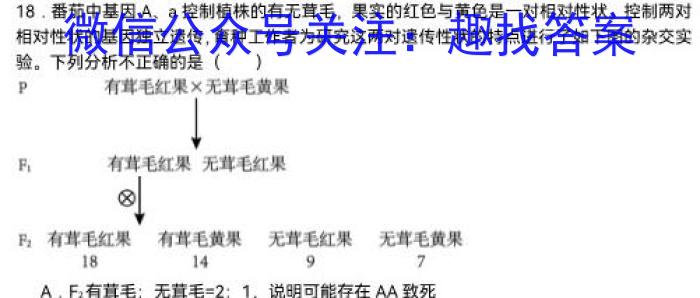 广东省高三年级2024年2月考试(24-278C)数学