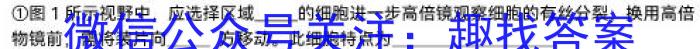 安徽省2024年九年级考试（无标题）生物学试题答案