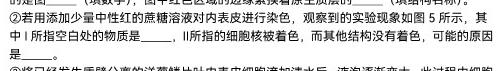 安徽省芜湖市2023-2024学年度第一学期九年级期末考试生物学部分