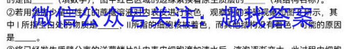 [安庆二模]安徽省2024年安庆市高三模拟考试(二模)生物学试题答案