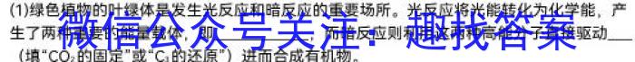 河北省2023-2024学年第二学期八年级学情质量检测（一）数学h