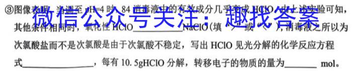 3陕西省丹凤县2023~2024学年度九年级第一学期教学质量调研测试化学试题