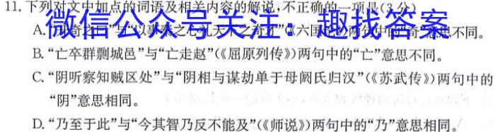 安徽省2024年九年级教学质量检测(24-CZ147c)语文