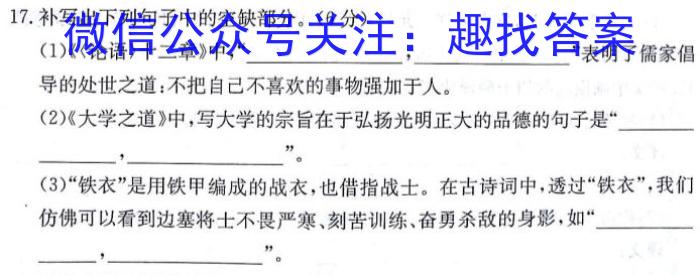 河南省2023-2024学年高中毕业班阶段性测试（五）语文