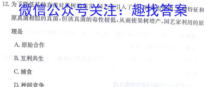 安徽省2024年中考密卷先享模拟卷(三)英语