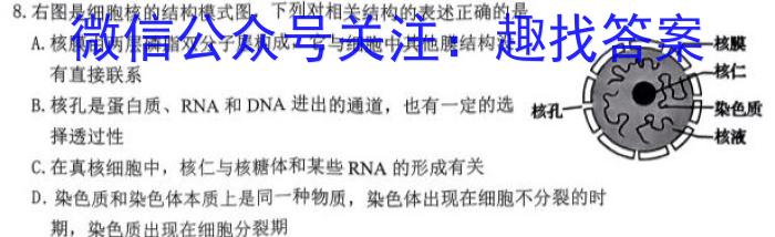 陕西省2023~2024学年度第二学期高二3月月考考试检测试卷(242662Z)数学