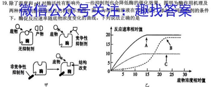 2024届普通高等学校招生全国统一考试 高三青桐鸣信息卷三生物学试题答案