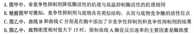 安徽省2023-2024学年度九年级下学期阶段评估（二）数学.考卷答案