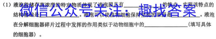 河南省2023~2024学年度七年级下学期阶段评估(二)