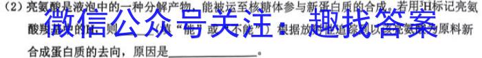 安徽省2023-2024学年砀山五中八年级期末检测数学