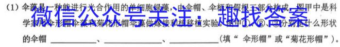 陕西省2023-2024学年度第二学期九年级收心卷A数学