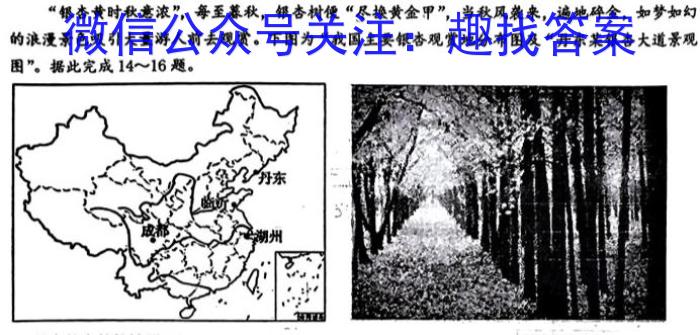 安徽省2023-2024学年度九年级下学期阶段评估（二）地理试卷答案