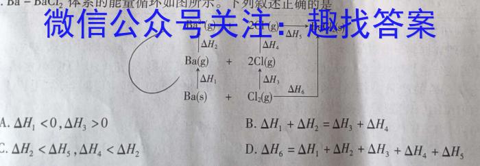 【精品】伯乐马 2024年普通高等学校招生新高考模拟考试(九)9化学