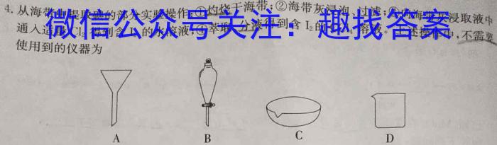 浙江强基联盟2024年5月高二联考数学