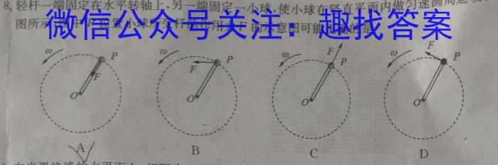 安徽省十联考 合肥六中2023~2024学年度高二下学期期末联考物理试题答案