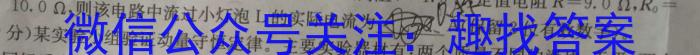 2024年安徽省初中(八年级)学业水平考物理试卷答案