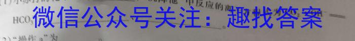 f湖北省武汉市2023~2024学年度高三元月调考化学