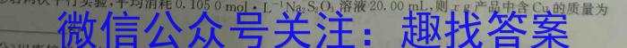 天一大联考2024年河南省普通高中招生考试考前定位试题数学