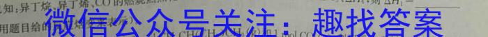 【精品】2024年河北省初中毕业生升学文化课模拟测评（九）化学