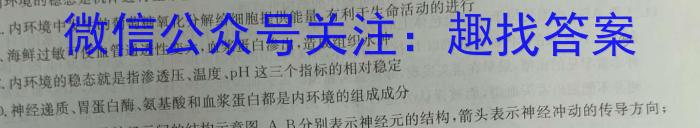 江苏省苏州市2023-2024学年度第二学期高二期中调研试卷生物学试题答案