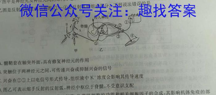 ［长春四模］长春市2024届高三质量监测（四）生物学试题答案