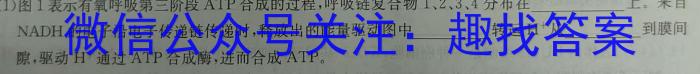 2024年安徽省九年级联盟考试数学