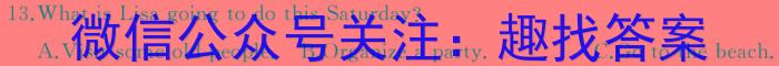 智学大联考·皖中名校联盟2023-2024学年（上）高一第四次联考英语