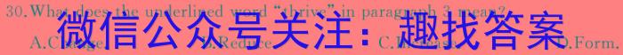王后雄2024年普通高等学校招生全国统一考试预测卷英语