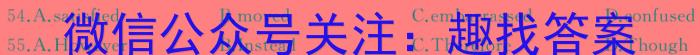 安徽省2024届同步达标自主练习·九年级第五次英语